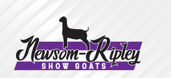 Newsom-Ripley Show Goats